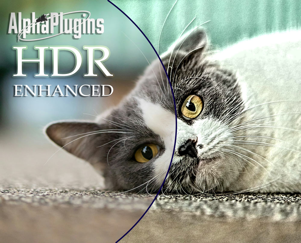 HDR Enhanced cat