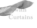 Curtains_transitions