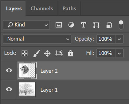 Photoshop layers list