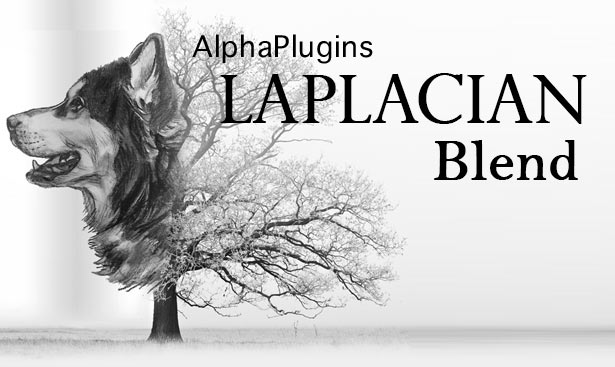 AlphaPlugins LaplacianBlend