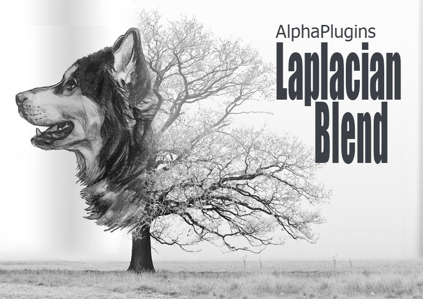 AlphaPlugins Laplacian Blend plug-ins
